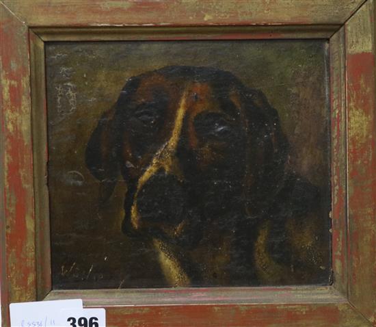 W.S.Harvey, oil on board, Head of a hound, signed, 18 x 20cm.